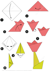 origami tulip