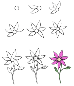 Flower drawing exercises