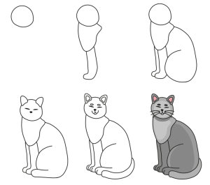 cat-riding exercise
