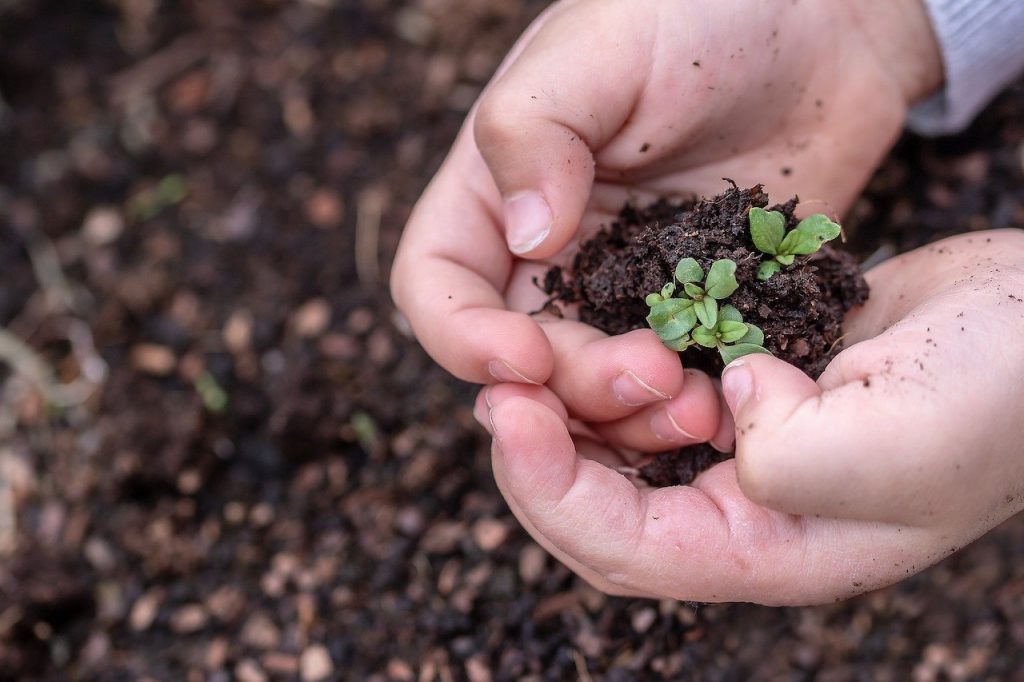 growing with children