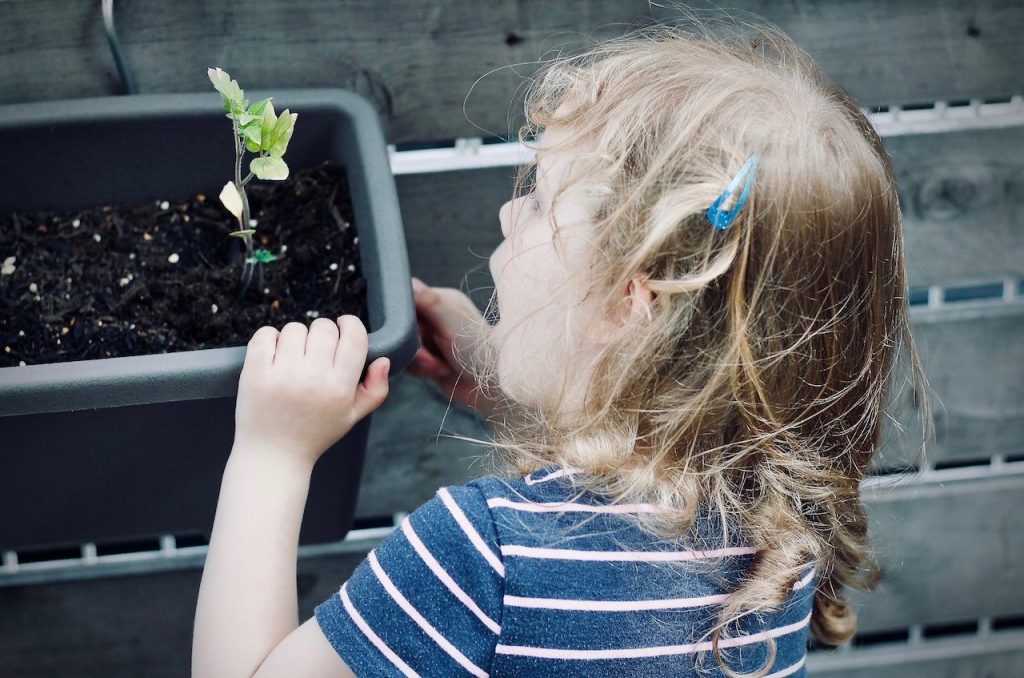 plantera växter med barn
